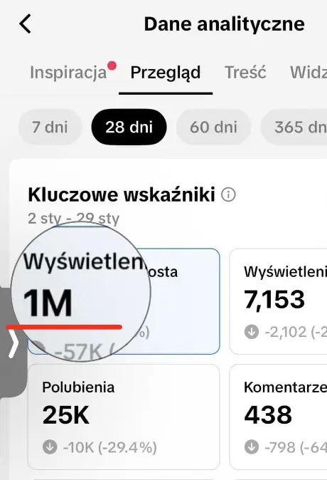 Analityka